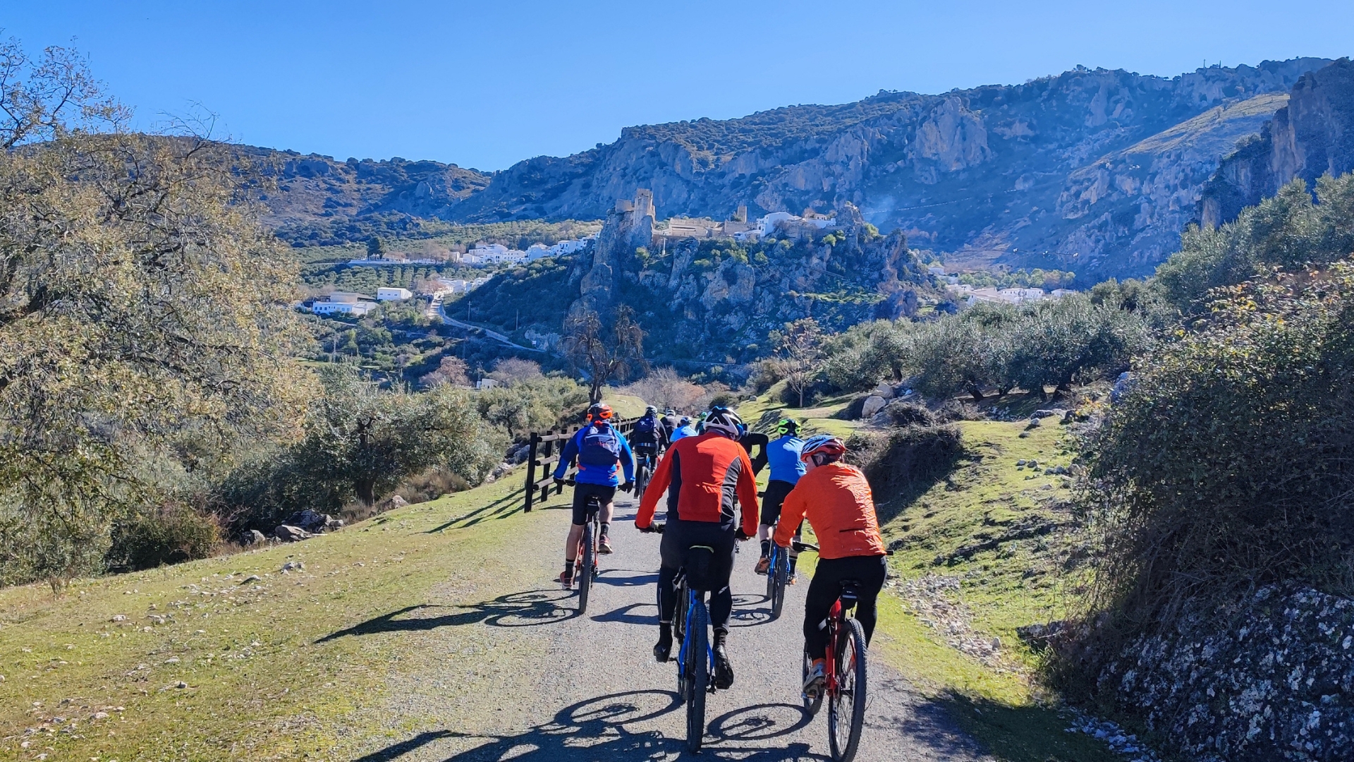 Andalusia - Olive Greenway